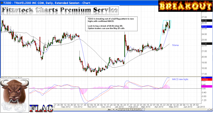 tzoo1 700x371 - TZOO
