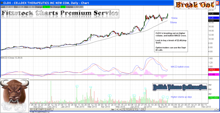 CLDX cldx 700x359 - CLDX