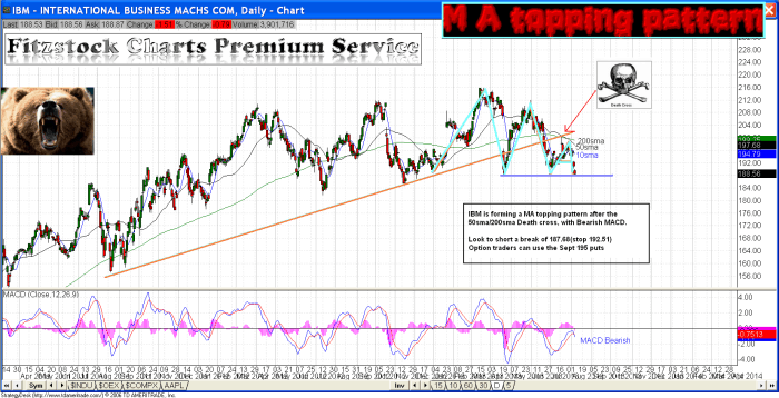 IBM - Fitzstock Charts