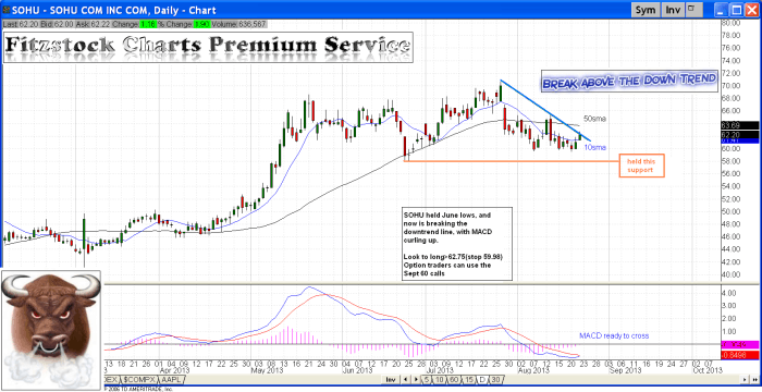 sohu1 700x360 - SOHU