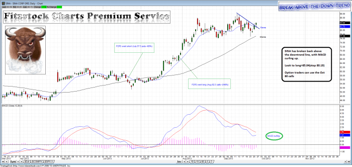 sina1 700x332 - SINA