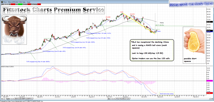 tsla1 700x336 - TSLA