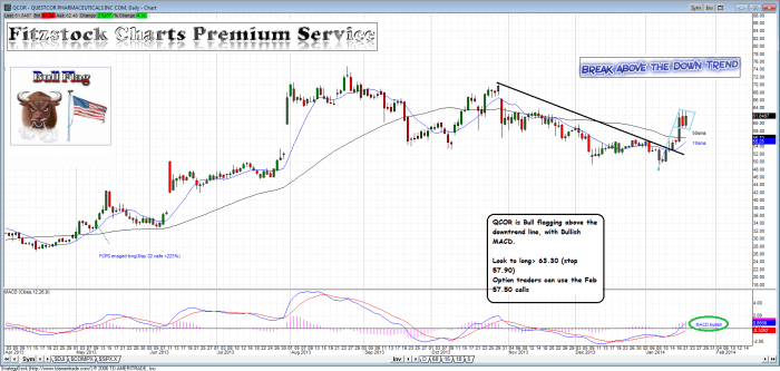 QCOR qcor 700x333 - QCOR