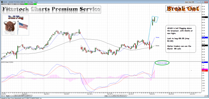 AKAM akam 700x332 - AKAM
