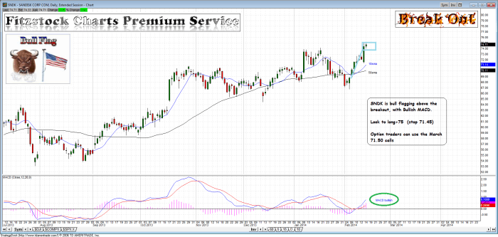 SNDK sndk 700x333 - SNDK