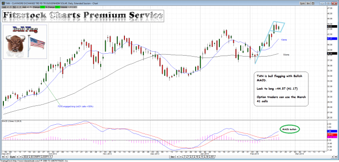 TAN tan2 700x335 - TAN