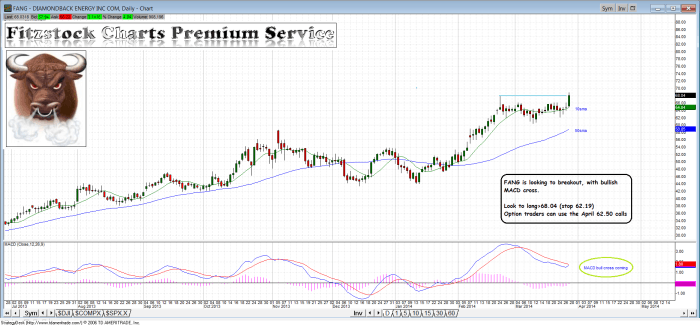 fang1 700x325 - FANG