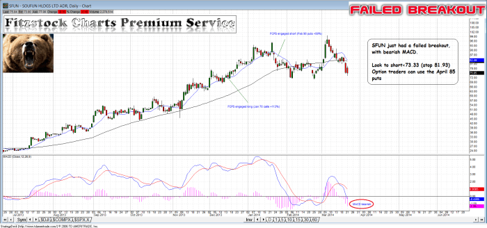 SFUN sfun1 700x328 - SFUN
