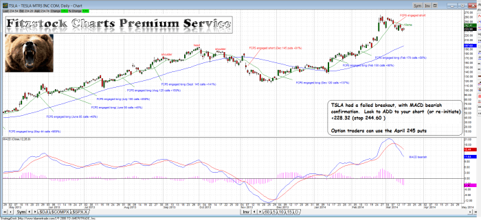 TSLA - Fitzstock Charts