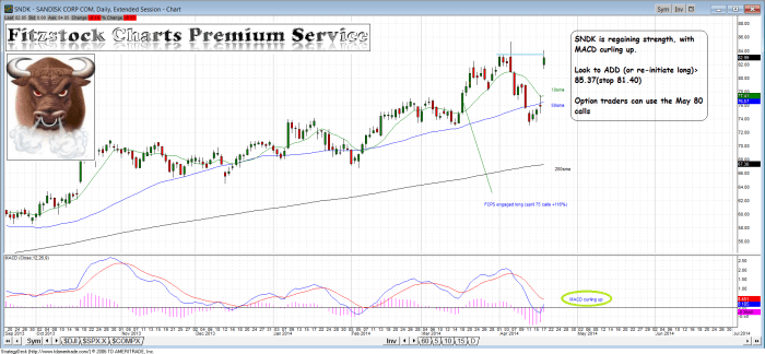 SNDK sndk 700x324 - SNDK