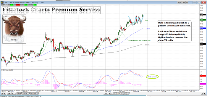 DVN dvn 700x327 - DVN
