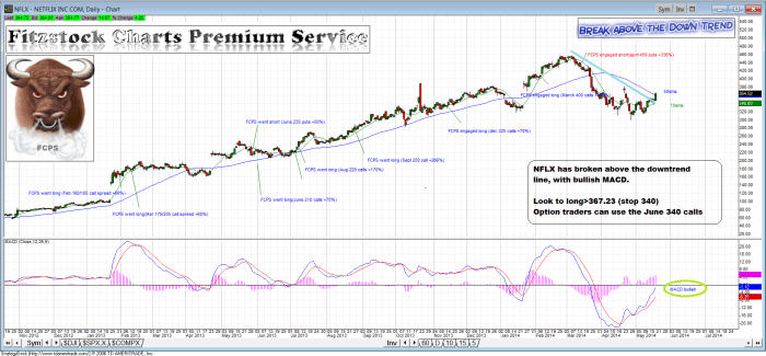NFLX nflx 700x325 - NFLX