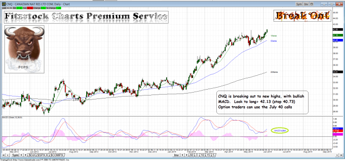 CNQ cnq 700x327 - CNQ