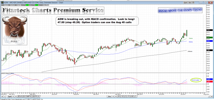 ADM adm 700x330 - ADM