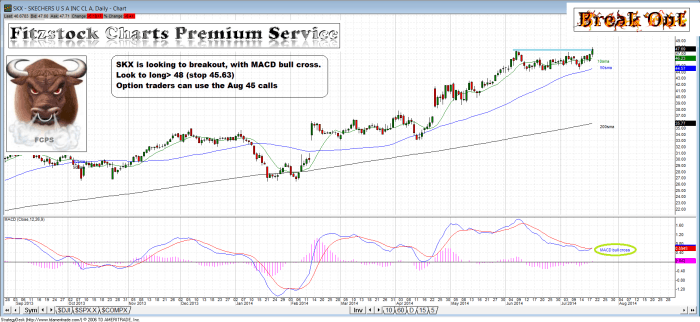 SKX skx 700x322 - SKX