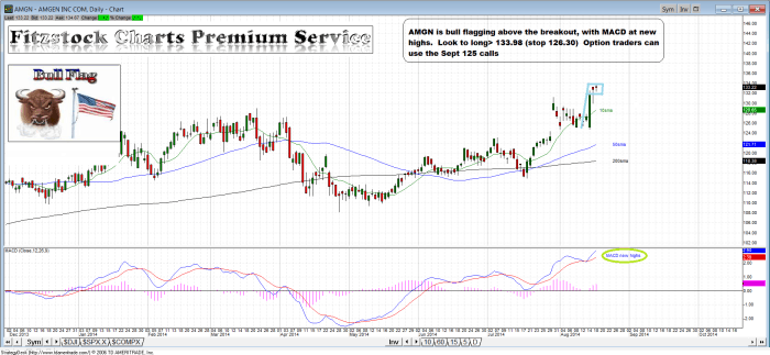 AMGN amgn 700x323 - AMGN