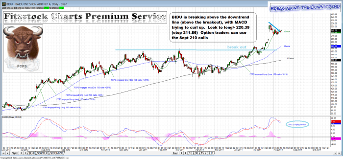 bidu1 700x325 - BIDU