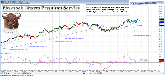 CELG celg 700x323 - CELG