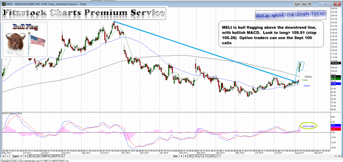 MELI meli 700x332 - MELI