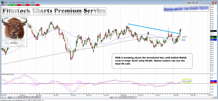 NUE nue 700x325 - NUE
