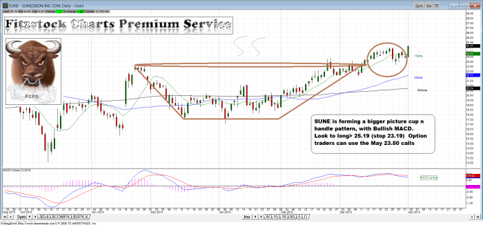 SUNE sune 700x326 - SUNE