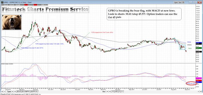 gpro1 700x329 - GPRO