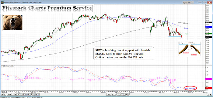 SHW shw 700x324 - SHW