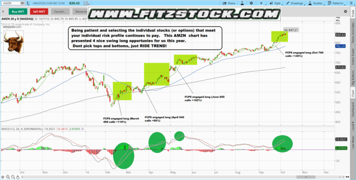 AMZN 2016 Swing amzn 2 700x354 - AMZN 2016 Swing