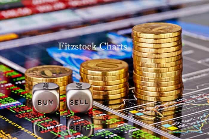 fitzstock lnkd 1024x683 700x467 - 10 Day Free Trial