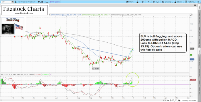 FCPS charts for 1/2/19 slv 1 700x354 - FCPS charts for 1/2/19