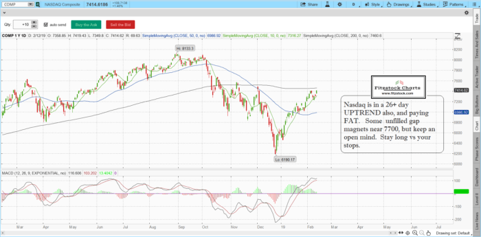 Stock Option Charts