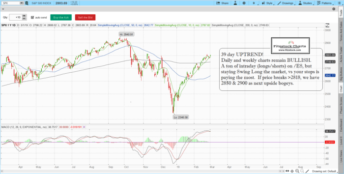 How To Read An Options Chart