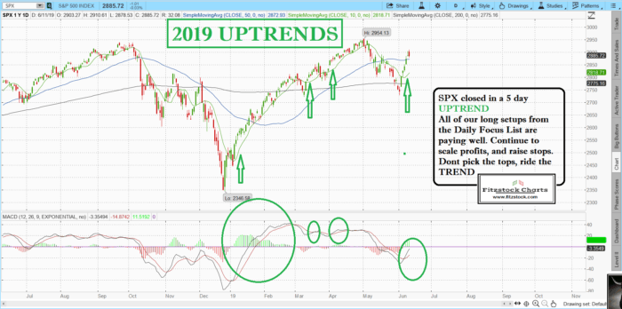 SPX 3 700x348 - The Best Stocks To Trade using Stock Charts Analysis-  Closing notes 6/11/19