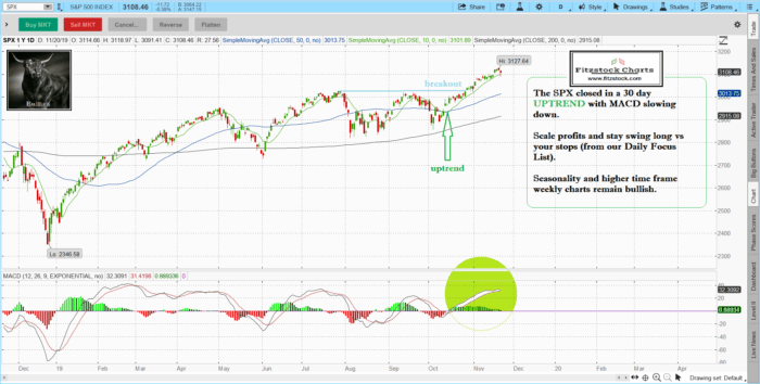 spx 6 700x354 - Stock Market Technical Analysis with the Best stock charts in the industry.  Fitzstock Chart closing notes