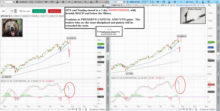 Stock market technical analysis with the best stock charts in the industry- Fitzstock Charts closing notes 2/25/20 spxnaz 17 700x354 - Stock market technical analysis with the best stock charts in the industry- Fitzstock Charts closing notes 2/25/20