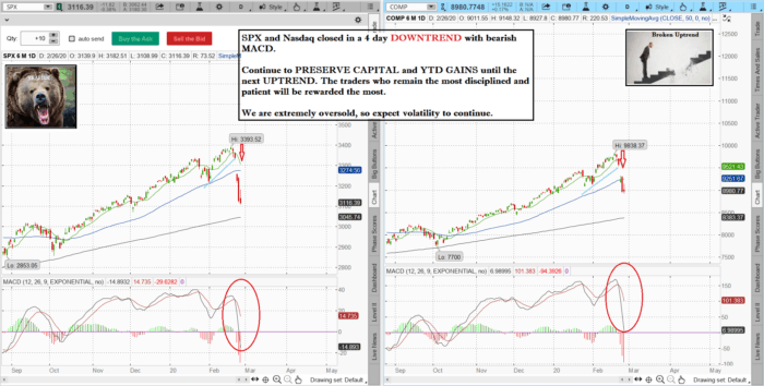 spxnaz 19 700x354 - Stock market technical analysis with the best stock charts in the industry. -Fitzstock Charts closing notes 2/26/20