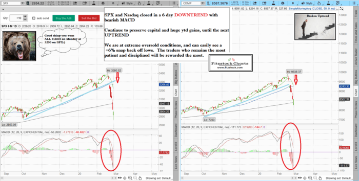 Stock Market Technical Analysis with the Best Stock Charts in the Industry- Fitzstock Charts closing notes 2/28/20 spxnaz 22 700x354 - Stock Market Technical Analysis with the Best Stock Charts in the Industry- Fitzstock Charts closing notes 2/28/20