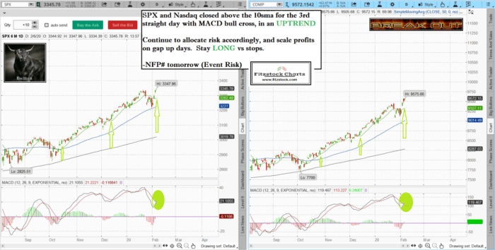 Stock Market Technical Analysis with Fitzstock Charts closing notes 2/6/20- The Best Stock Charts in the Industry. spxnaz 3 700x354 - Stock Market Technical Analysis with Fitzstock Charts closing notes 2/6/20- The Best Stock Charts in the Industry.