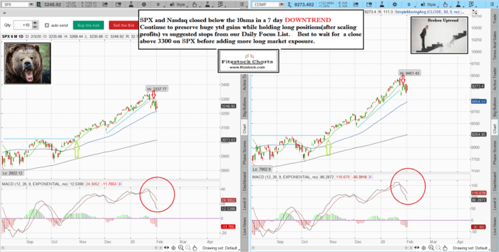 spxnaz 700x354 - Stock Market Technical Analysis with Fitzstock Charts closing notes 2/3/20- The Best Stock Charts in the Industry