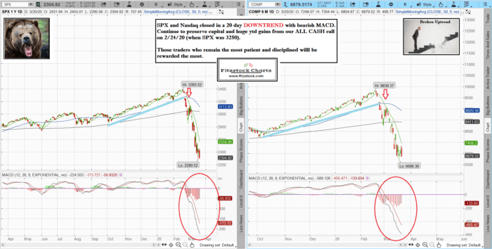 Stock market technical analysis with the best stock charts in the industry.-Fitzstock Charts closing notes 3/20/20 SPXNAZ 16 700x354 - Stock market technical analysis with the best stock charts in the industry.-Fitzstock Charts closing notes 3/20/20