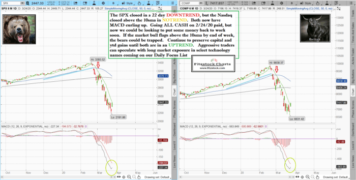 SPXNAZ 18 700x354 - Stock market technical analysis with the best stock charts in the industry.- Fitzstock Charts closing notes 3/24/20
