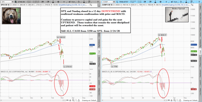 SPXNAZ 6 700x354 - Stock market technical analysis with the best stock charts in the industry.  -Fitzstock Charts closing notes 3/9/20
