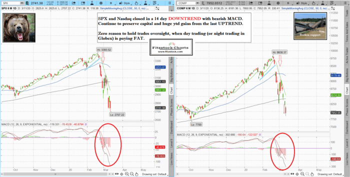 SPXNAZ 8 700x354 - Stock market technical analysis with the best stock charts in the industry.- Fitzstock Charts closing notes 3/11/20