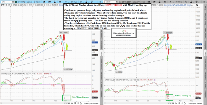 Stock Market Technical Analysis with the Best stock charts in the industry.- Fitzstock Charts closing notes 3/4/20 spxnaz 2 700x354 - Stock Market Technical Analysis with the Best stock charts in the industry.- Fitzstock Charts closing notes 3/4/20