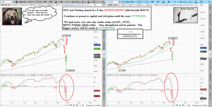 spxnaz 700x354 - Stock market technical analysis with the best stock charts in the industry.- Fitzstock Charts closing notes 3/2/20